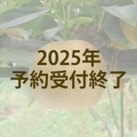 新甘泉　2kg