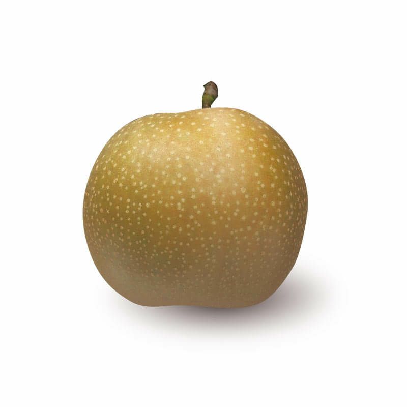 新甘泉　2kg