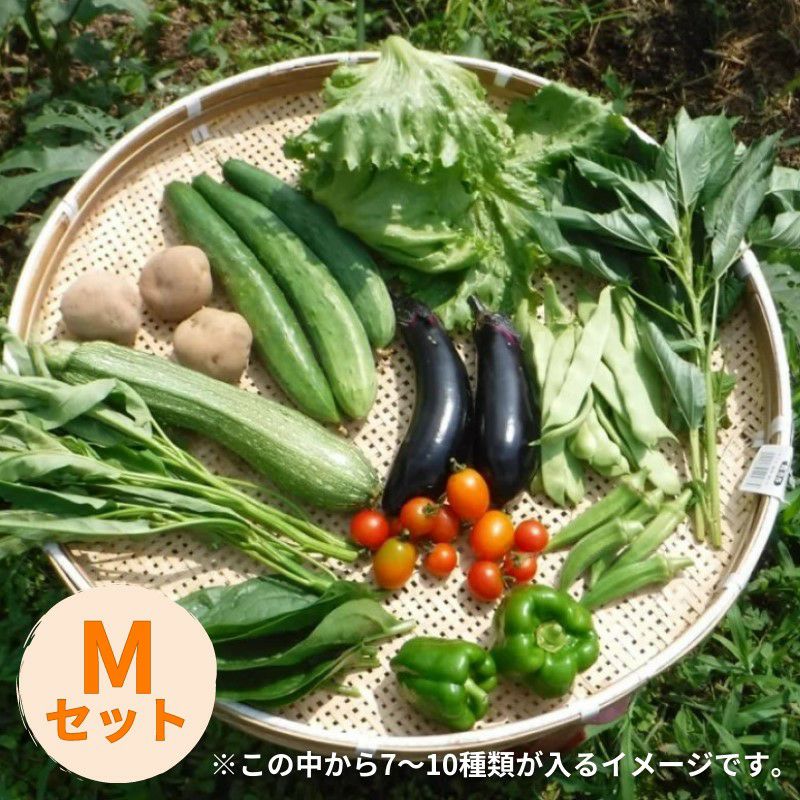 自然栽培の野菜セット（Mセット）