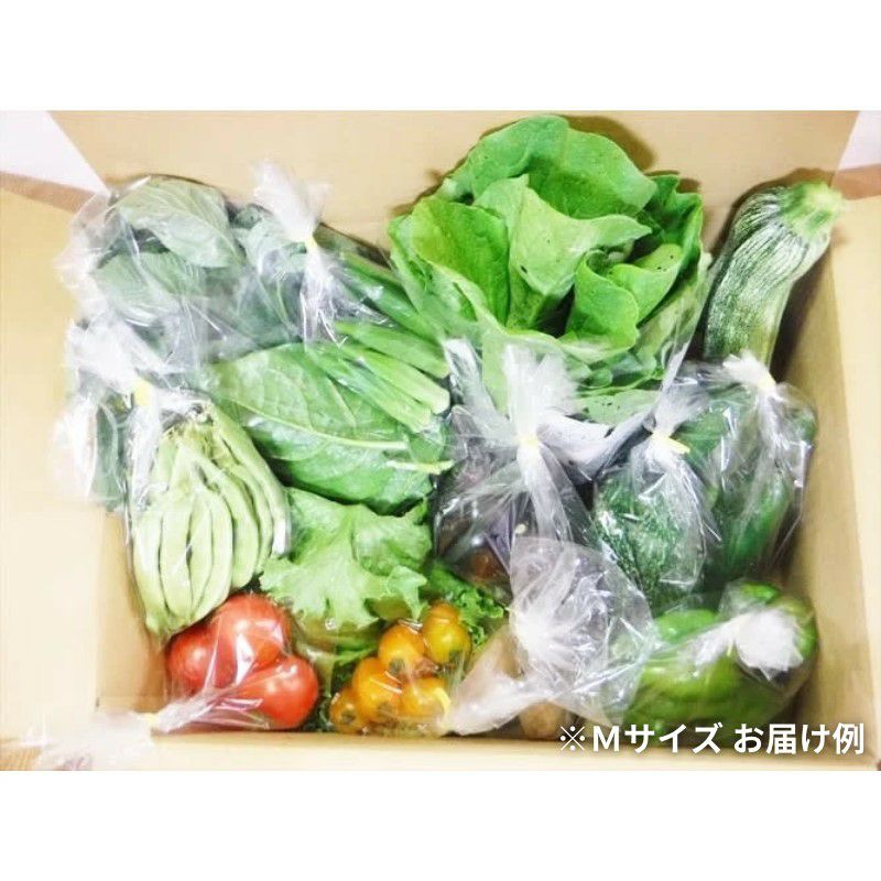 自然栽培の野菜セット（Mセット）