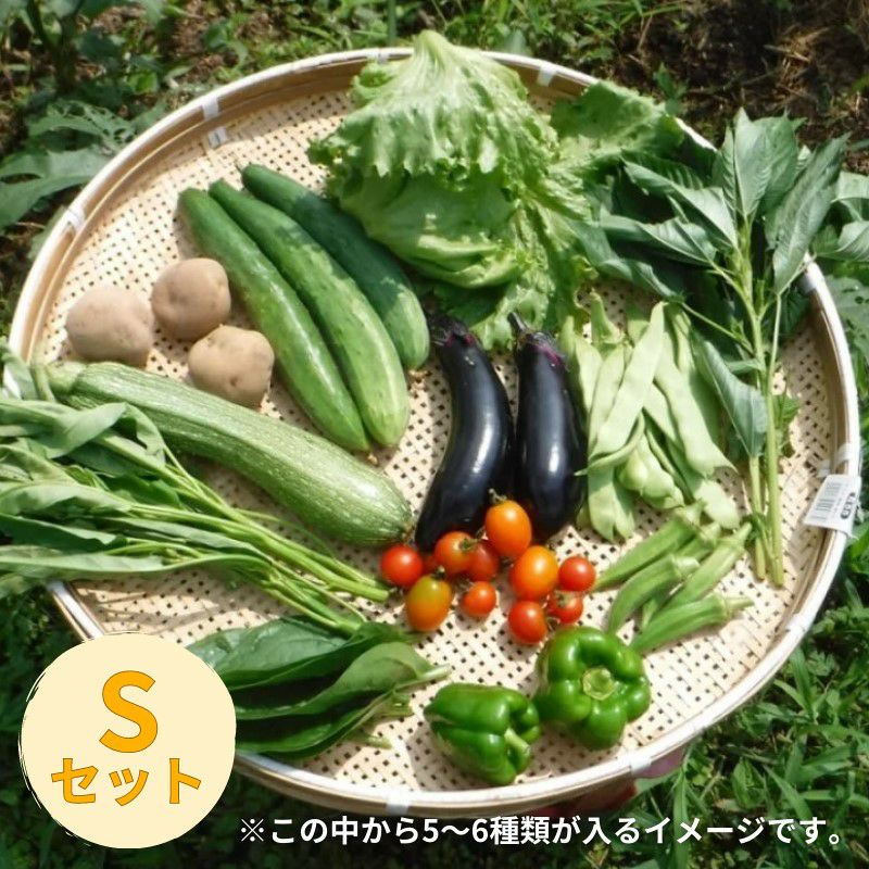 自然栽培の野菜セット（Sセット）