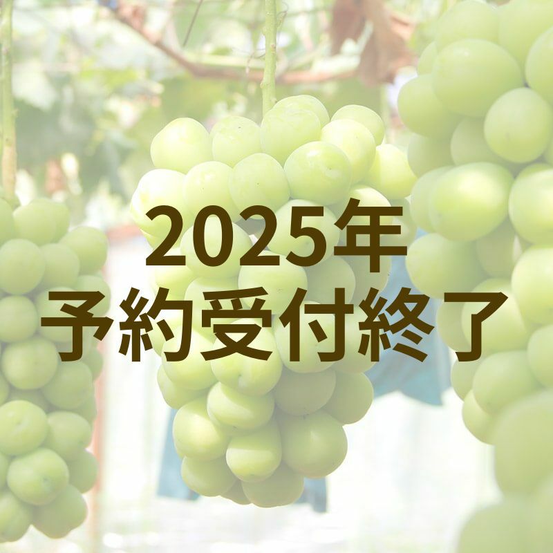 完熟シャインマスカット（種なし）