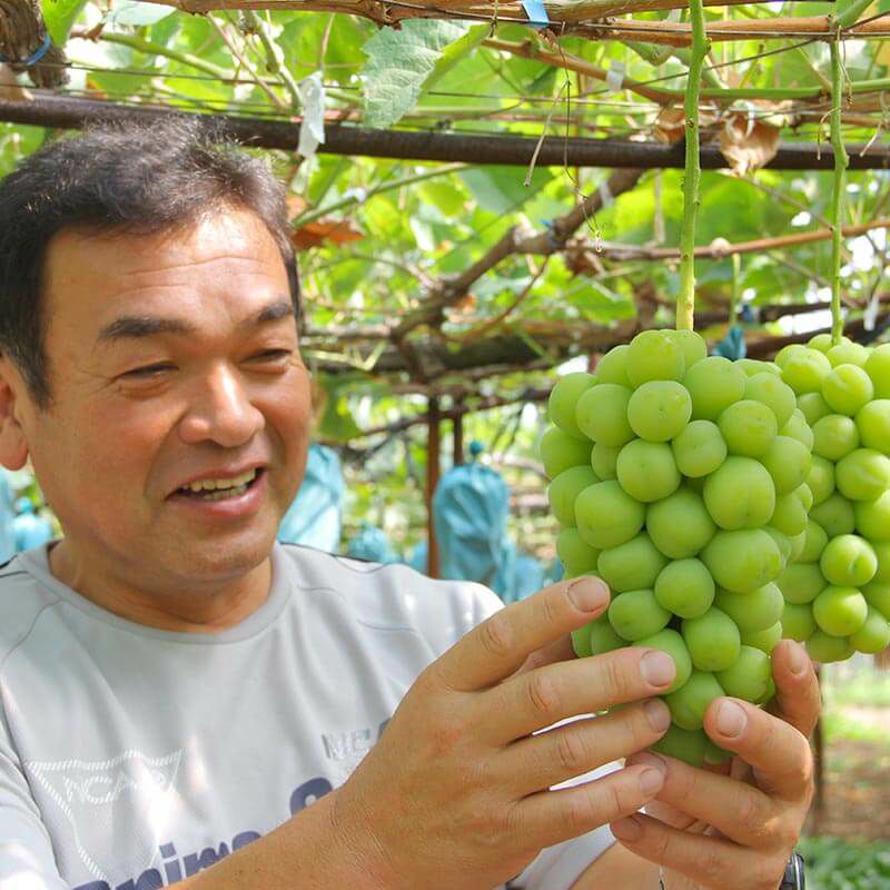 完熟シャインマスカット（種なし）