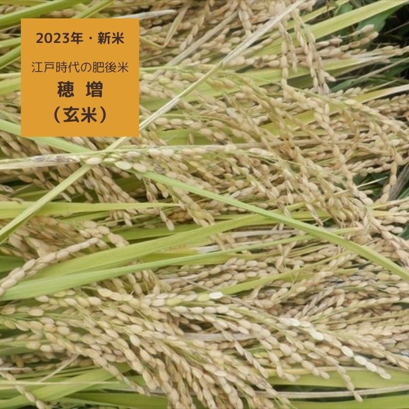 自然栽培・天日干しのお米（玄米）穂増　5㎏ | 大江ノ郷自然牧場