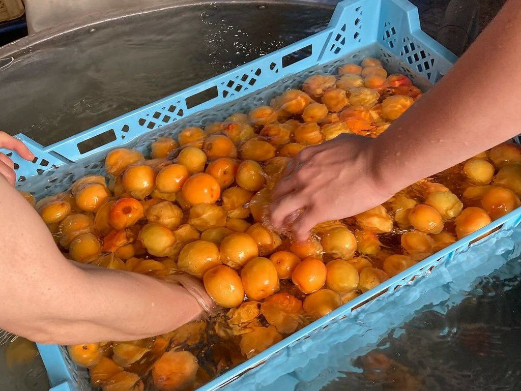 良熟梅酒「野花（のきょう）」2本セット | 大江ノ郷自然牧場