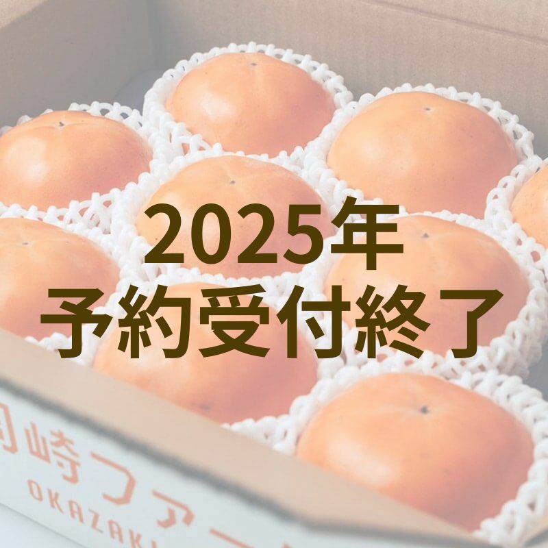 【ご家庭用】輝太郎柿 3kg