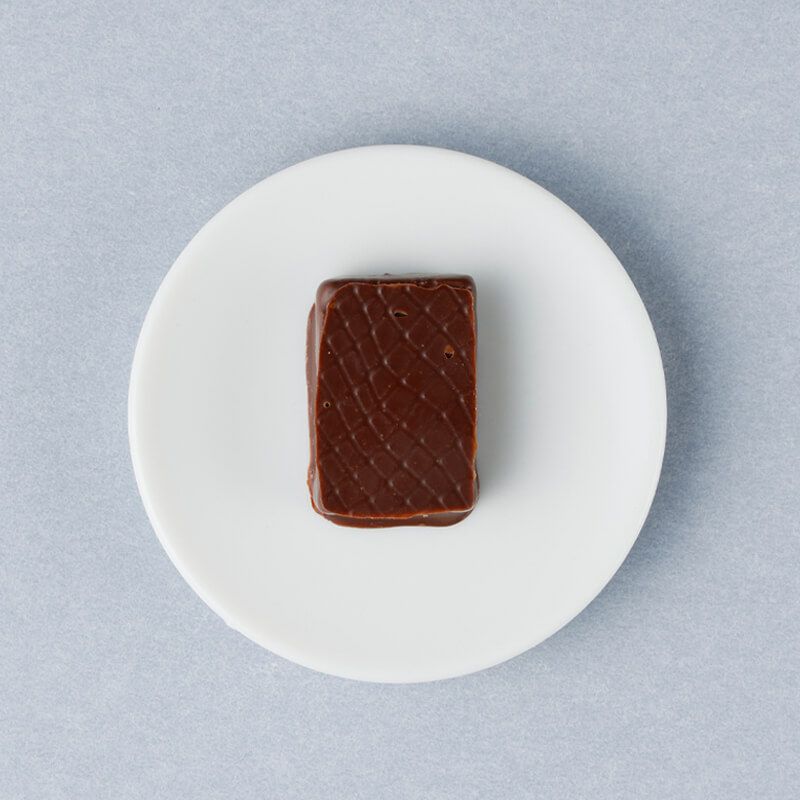 旅するチョコボ 4枚セット mtg×ff 旅するチョコボ 4枚セット 旅するチョコボ/Traveling