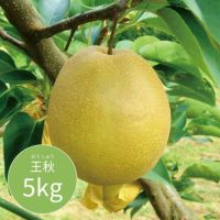 王秋　5kg