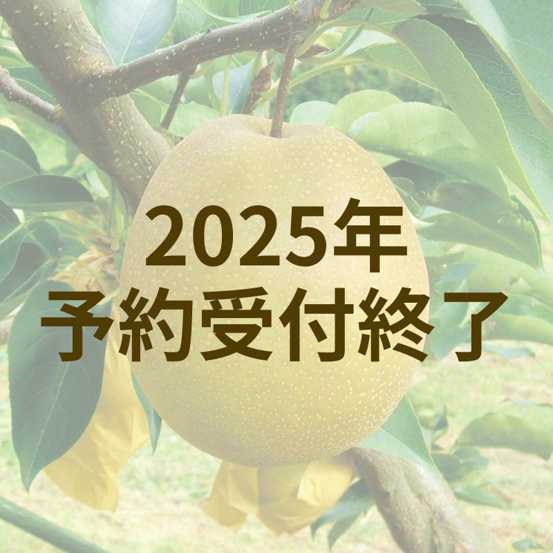 王秋　5kg
