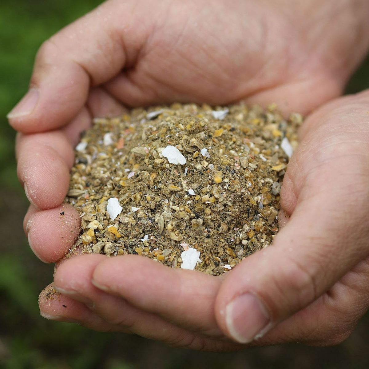 自然素材で作られた飼料を手に持つ様子｜天美卵の濃厚な味わいを育むこだわりの餌