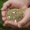 自然素材で作られた飼料を手に持つ様子｜天美卵の濃厚な味わいを育むこだわりの餌