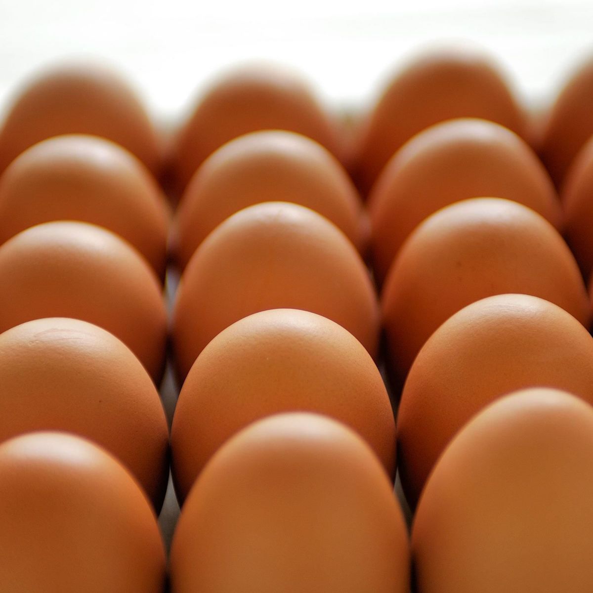 きれいに並べられた天美卵｜均一な品質と丁寧な管理が生む鳥取県産の高級卵