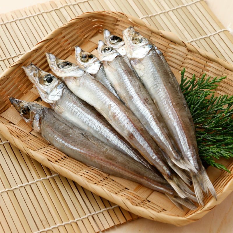 山陰・海の恵み干物セット