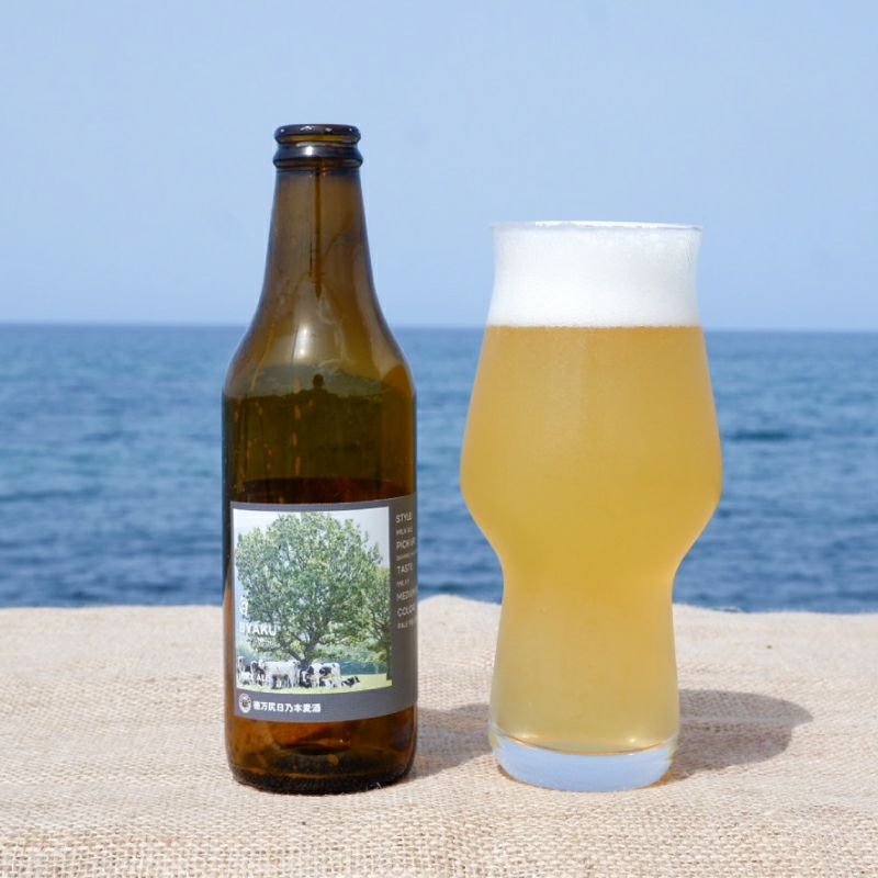 夏の地ビールおすすめセットA