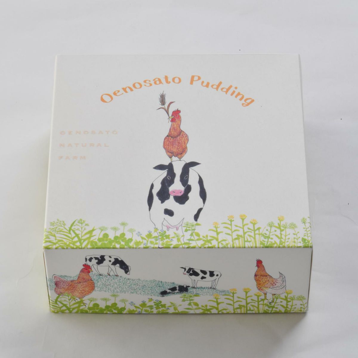 大江ノ郷ぷりん 初回限定お試し4個入りセット