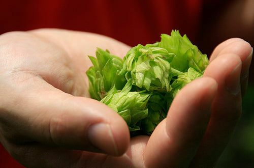 大山Gビール3種飲み比べセット（6本入）【敬老の日カード付】