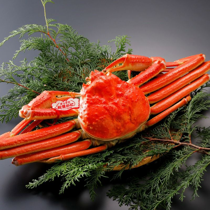 浜ゆで松葉がに・大